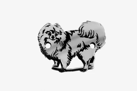 Pomerániai törpespicc 2