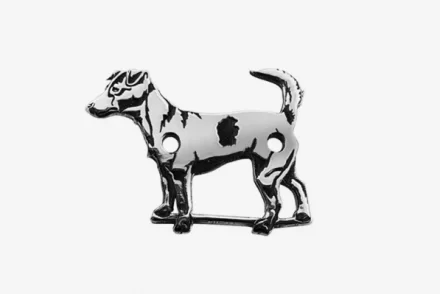 Jack Russel Terrier 2